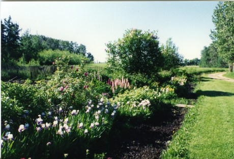 Jardin a la Sapiniere